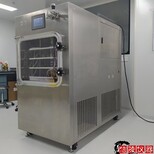 LGJ-30F石墨烯真空冻干机硅油加热冷冻干燥机厂家价格,中型硅油加热冻干机图片4