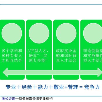 石景山区项目融资报告撰写公司立项报告