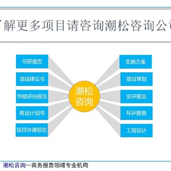 庆阳市项目数据分析报告有哪些资金申请报告