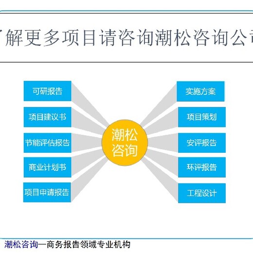 阳江市技改/新建项目包含哪些投资/价值评估报告