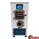 LGJ-100F真空凍干機硅油加熱冷凍干燥機供應商報價,原位硅油真空凍干機圖片2