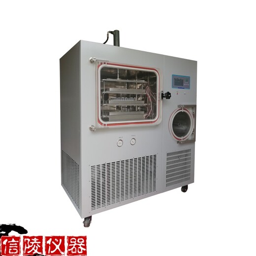信陵原位硅油真空冻干机,LGJ-100F方仓冷冻干燥机硅油加热冷冻干燥机供应商报价