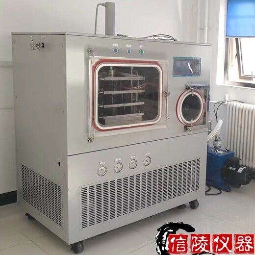 信陵硅油型冷冻干燥机,LGJ-30F中试冷冻干燥机硅油加热冷冻干燥机厂家供应