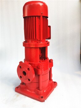 高扬程供水泵沃德多级泵不锈钢多级泵VMP50-4,立式多级高扬程泵