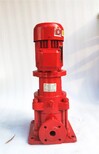 高扬程供水泵沃德多级泵不锈钢多级泵VMP40-21,小区高楼供水泵图片3