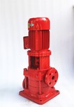 高扬程供水泵沃德多级泵不锈钢多级泵VMP80-4图片4