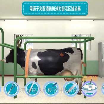 华锐视点动物医疗VR职业实训软件