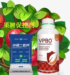 vpbo果树促控剂批发,花芽分化药图片5