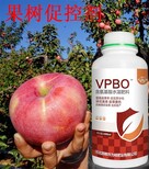 vpbo果树促控剂批发,花芽分化药图片2