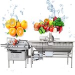 大型洗菜机4200涡流排渣去杂蔬菜清洗机九盈洗菜机厂家直供