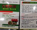 小米椒為峰肥業辣椒葉面肥廠家,辣椒套餐
