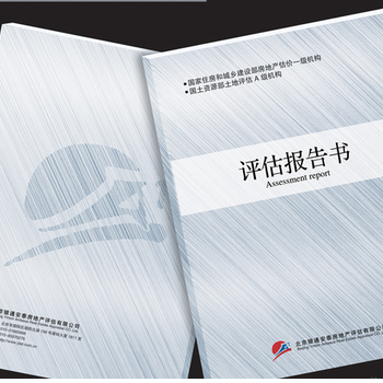 四川省乐山市招商项目代写企业节能评估报告/可研报告