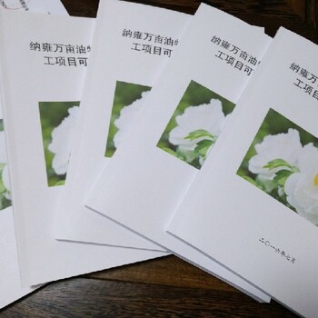 庆阳市项目商业计划书代写公司立项报告