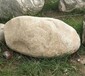 公园景观石自然石