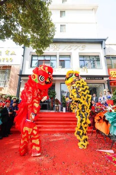 安徽滁州庆典舞狮进宝