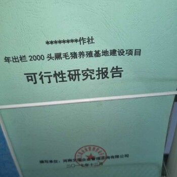 漳州市平和县技改/新建项目需要做节能评估报告/可研报告