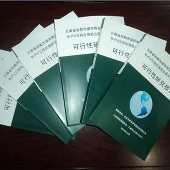 沈阳市中央预算内投资项目重要性可行性报告