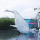 大型鯨魚雕塑圖