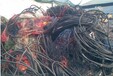 丽水电线电缆回收多少钱一吨