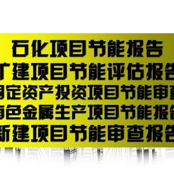 来宾市项目数据分析报告代制作立项备案报告