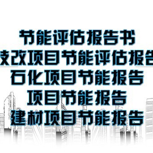 湛江市项目数据分析报告编制公司可行性报告