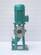 300LW500-15-45立式污水泵管道排污泵咨询