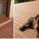 乾宇防腐木地板,塑木地板/木塑地板产品图