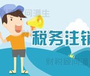 佛山注销公司费用-佛山代办营业执照图片