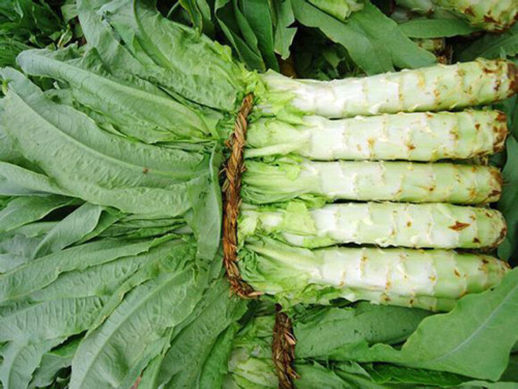 工地送菜服務(wù)