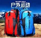 双肩背包户外登山包旅行包背包广告包功能箱包定制