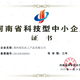 辽宁锦州办理科技型中小企业申请一对一服务产品图