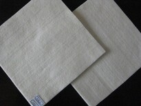 南通供应长丝土工布质量可靠,聚酯长丝土工布图片2