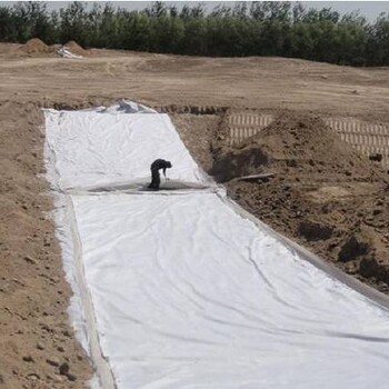 四川短丝土工布性能可靠,土工材料