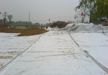 温州复合土工膜作用,渠道防渗工程图片5