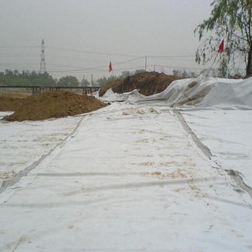南京复合土工膜性能可靠,渠道防渗工程