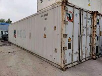 钵满冷藏集装箱租赁回收,上海冷藏集装箱运输图片1