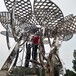 北京不锈钢树雕塑定制