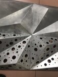 阳泉树形铝单板,双曲铝单板厂家图片5