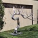 唐韵抽象大树雕塑,河北不锈钢树雕塑多少钱