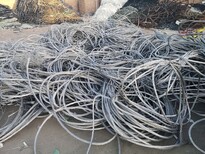 天水电线电缆回收公司（每天更新价格）图片5