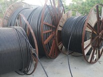天水电线电缆回收公司（每天更新价格）图片4