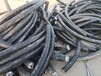 牡丹江高压电缆回收废旧光伏电缆回收
