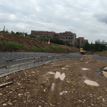 河南汤阴县河道治理防洪护岸铅丝笼,铅丝笼网箱