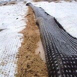威海供应膨润防水毯,膨润土防水材料图片5