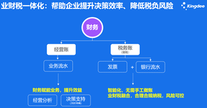 金蝶软件金蝶版,新款金蝶KIS版图片0