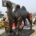 动物雕塑定制加工厂家免费设计图纸中式雕塑广场雕塑