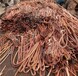 松原矿用电缆回收多少钱一吨,矿用橡套电缆回收