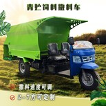 定做潤豐養殖投料車造型美觀,全自動電動撒料車圖片5