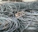 张北废旧电缆回收(废铜)电缆回收价格