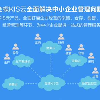 金蝶KIS云专业版,衡阳加工型企业KIS云服务满意